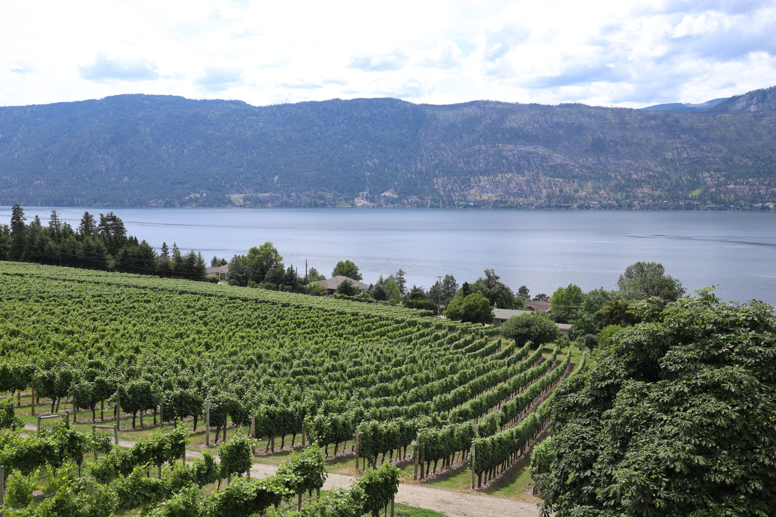 What do you want to do on this trip?